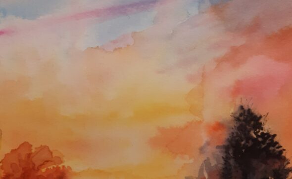 paysage en fond de soleil couchant avec ciel multicolore et arbres en silhouette